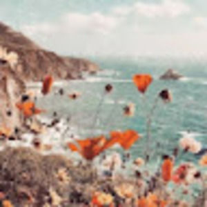 Meet your Posher, Frances